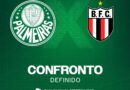 Copa do Brasil 2024: Palmeiras enfrenta Botafogo/Sp