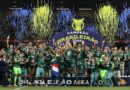 Tabela do Palmeiras no Brasileirão 2025