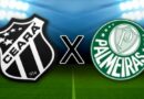 Onde assistir Ceará x Palmeiras pela Copa do Brasil 2025