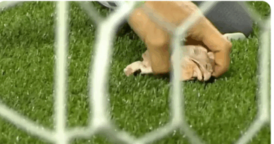 STJD marca julgamento por ofensas homofóbicas da torcida do Palmeiras e cabeça de galinha no gramado contra o Corinthians