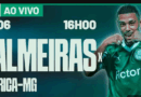 Palmeiras x America MG ao Vivo pelo Brasileirão Sub 20