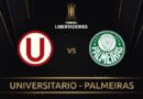 Libertadores 2025 : Universitário x Palmeiras onde assistir a partida