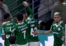 Vídeo : Gols Palmeiras 2 a 0 Santos pelo Brasileirão 2025