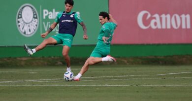 Provável Palmeiras contra o Fluminense pelo Brasileirão 2025