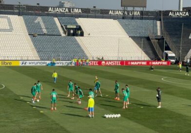 Provável time : Palmeiras encerra preparação para final da Libertadores