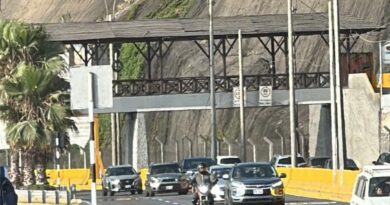 Tragédia em Lima: Torcedor do Palmeiras Morre em Lima na Véspera da Final da Libertadores