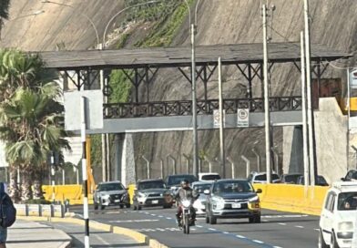 Tragédia em Lima: Torcedor do Palmeiras Morre em Lima na Véspera da Final da Libertadores